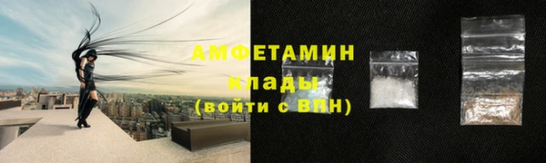 прущие грибы Арсеньев