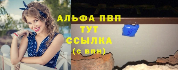 прущие грибы Арсеньев