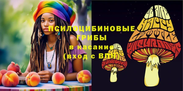 гашик Армянск