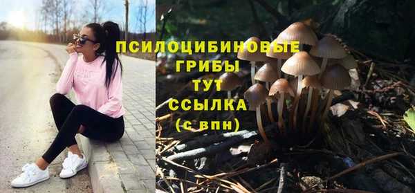 гашик Армянск