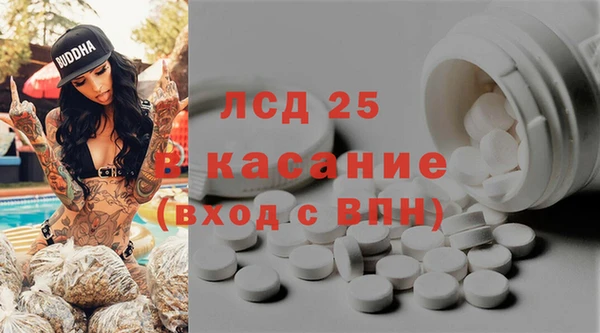 прущие грибы Арсеньев