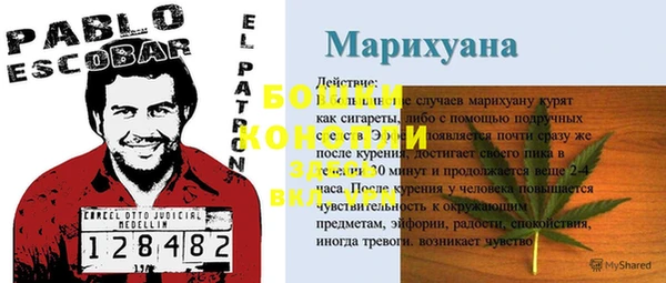 прущие грибы Арсеньев