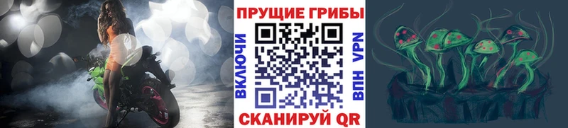 Галлюциногенные грибы Psilocybine cubensis Остров